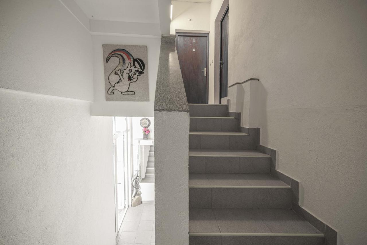 Apartmani Krizanovic Vodice Dış mekan fotoğraf
